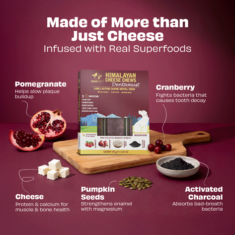 Pawfect Himalayan Yak Chews with Cranberry & Pomegranate – Large 3 x 140g