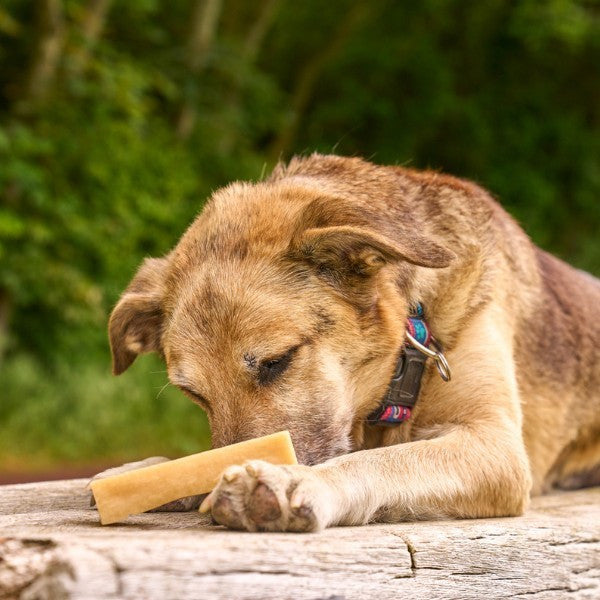 Discounted Bulk Yak Chews for Dogs (Flavoured Bundles)