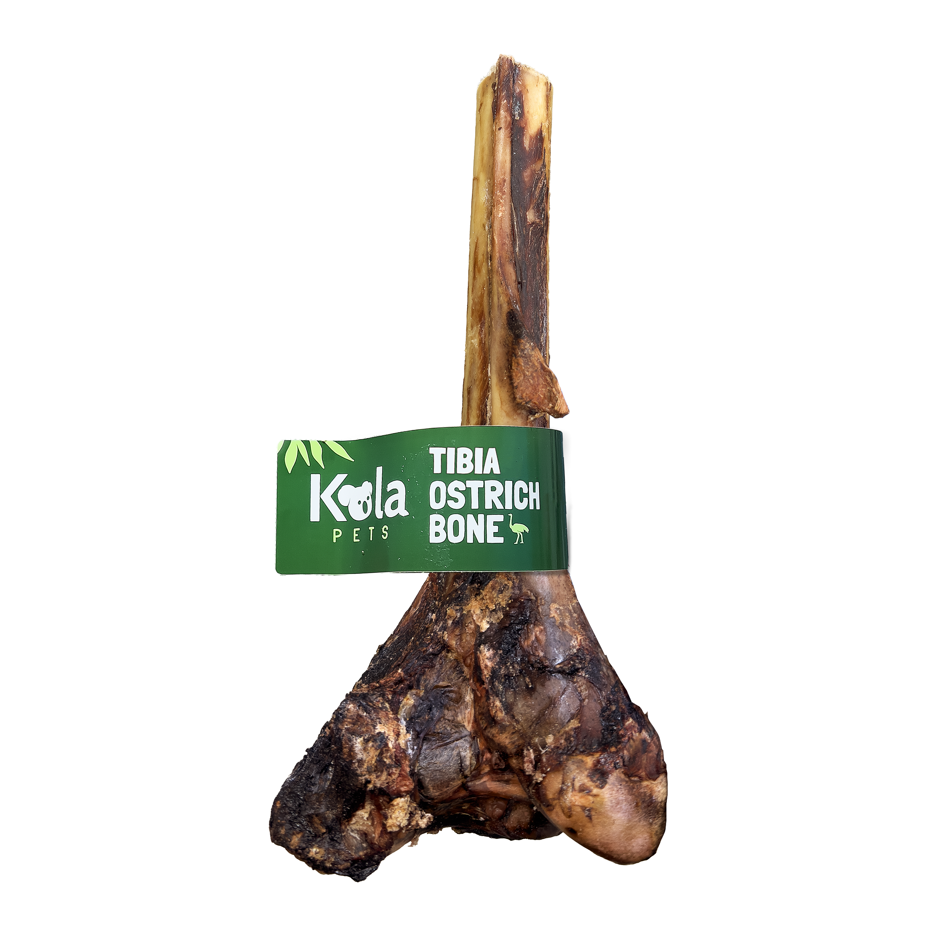 Tibia Large Ostrich Bone
