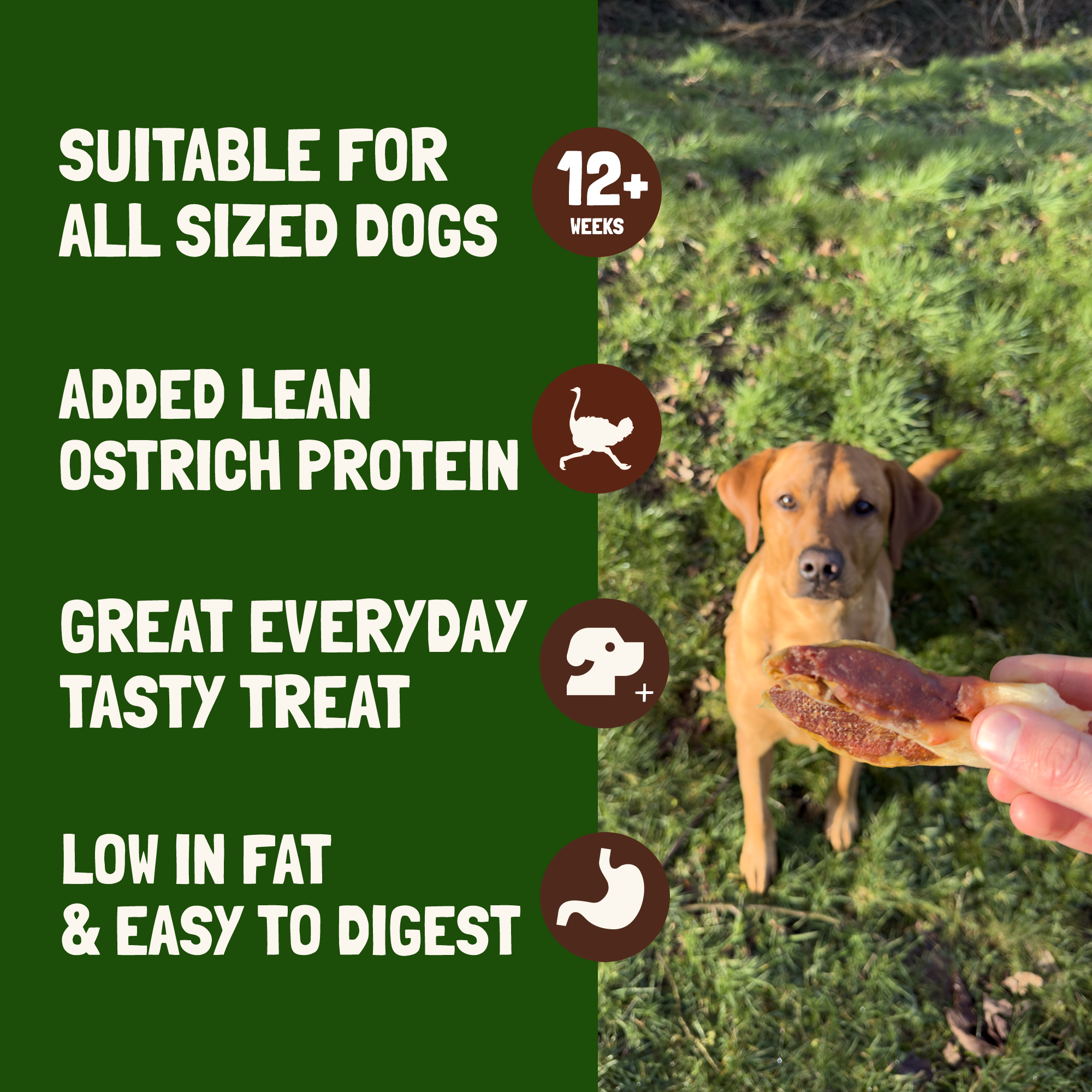 Ostrich Rabbit Ears 500g