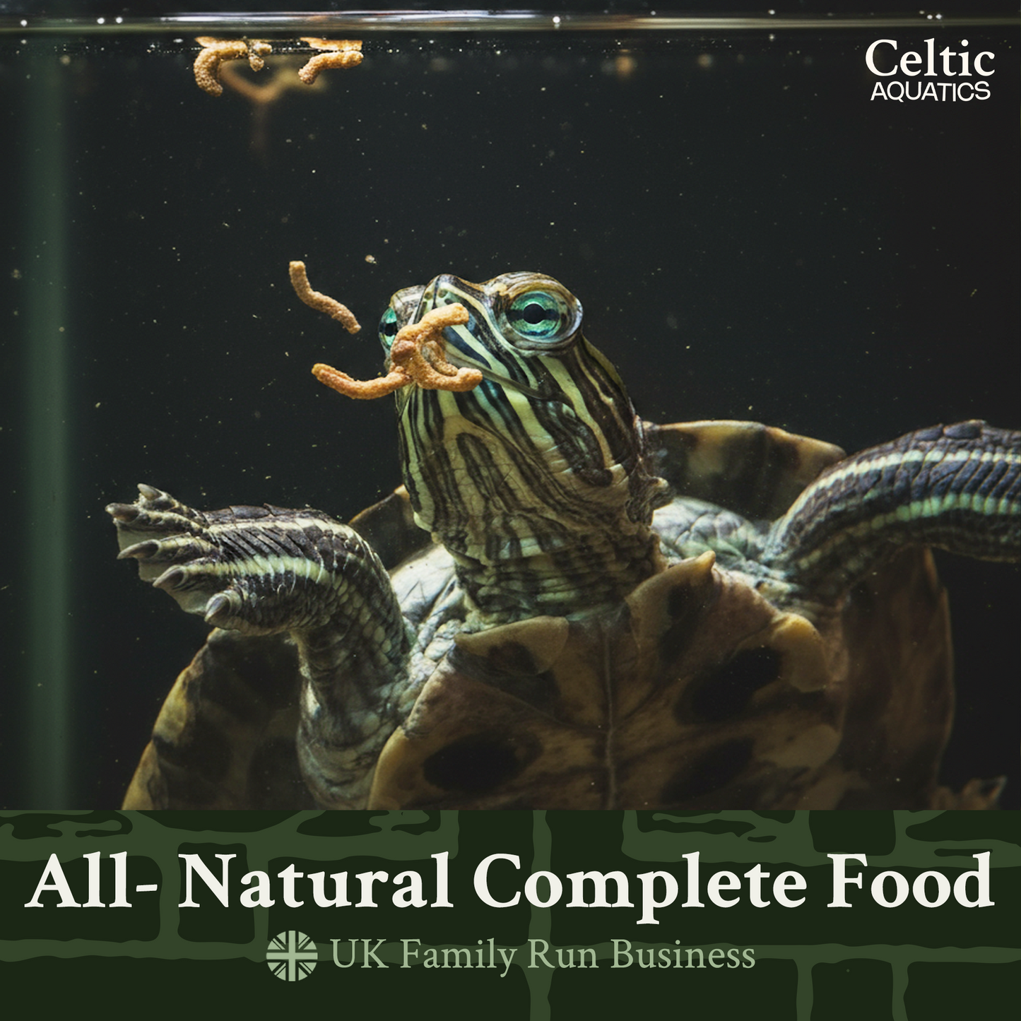 Celtic Aquatics Complete Turtle Food