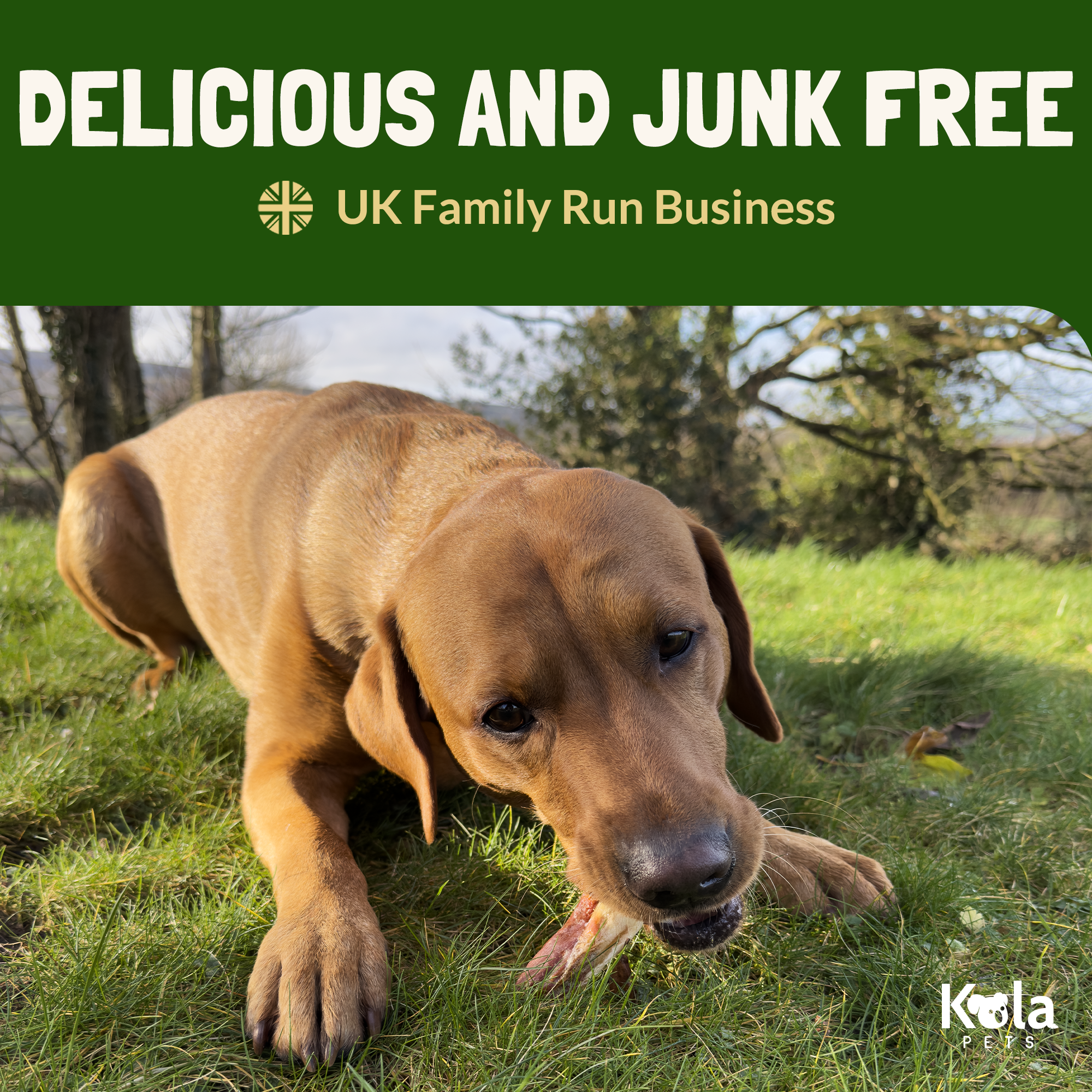 Ostrich Rabbit Ears 500g