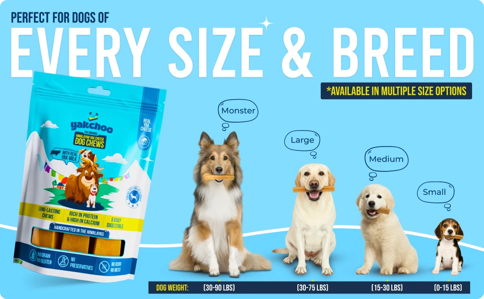 Yakchoo Yak Chews for Dogs 210g (Medium - 3 Chews)