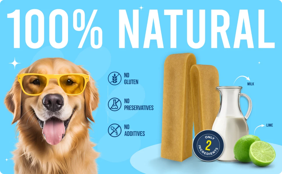 Yakchoo Yak Chews for Dogs 210g (Medium - 3 Chews)