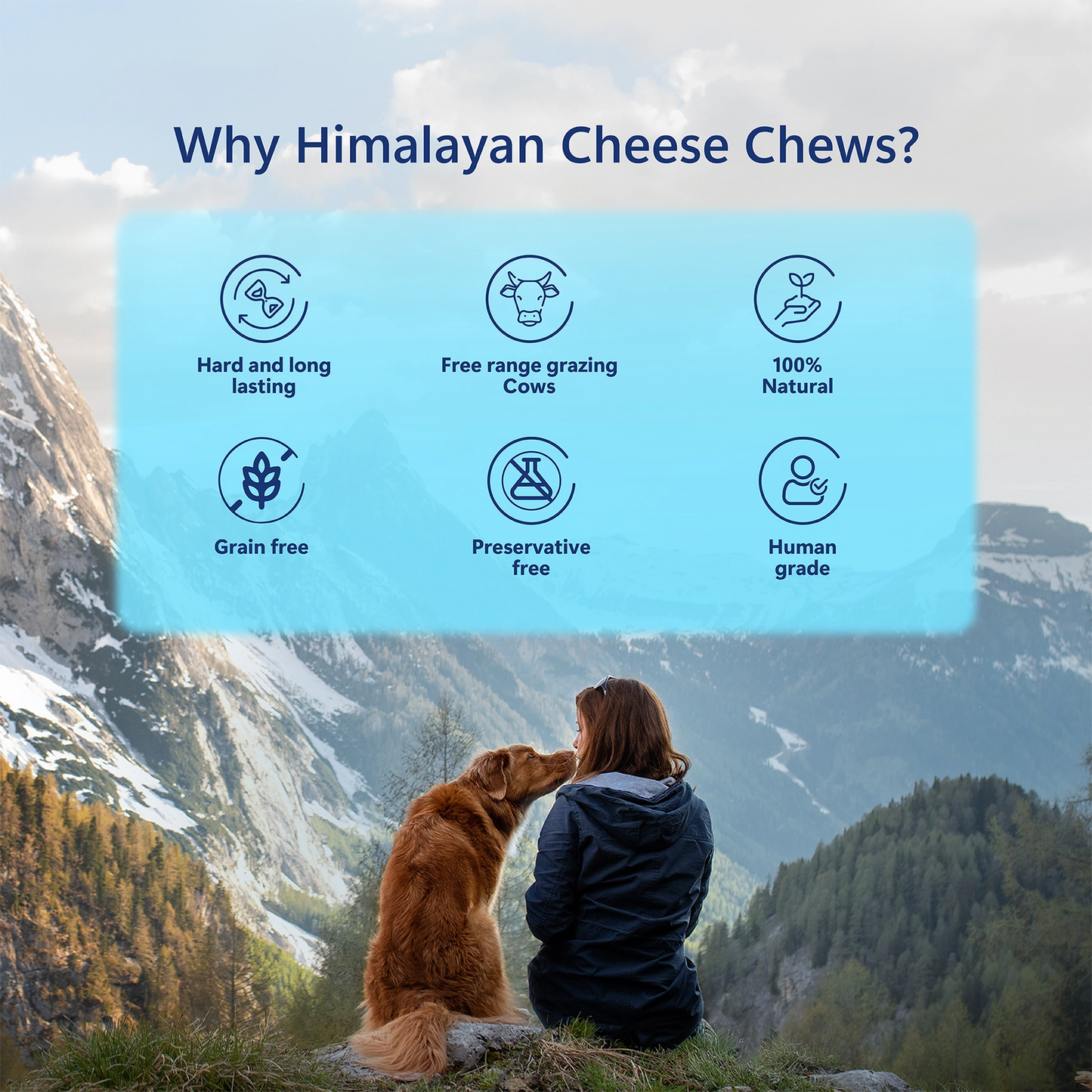 Pawfect Himalayan Yak Chews For Dogs (All Sizes and Flavours)