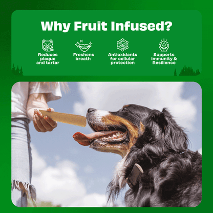 Pawfect Himalayan Yak Chews with 3 Nutritious Fruits – Large 3 x 140g