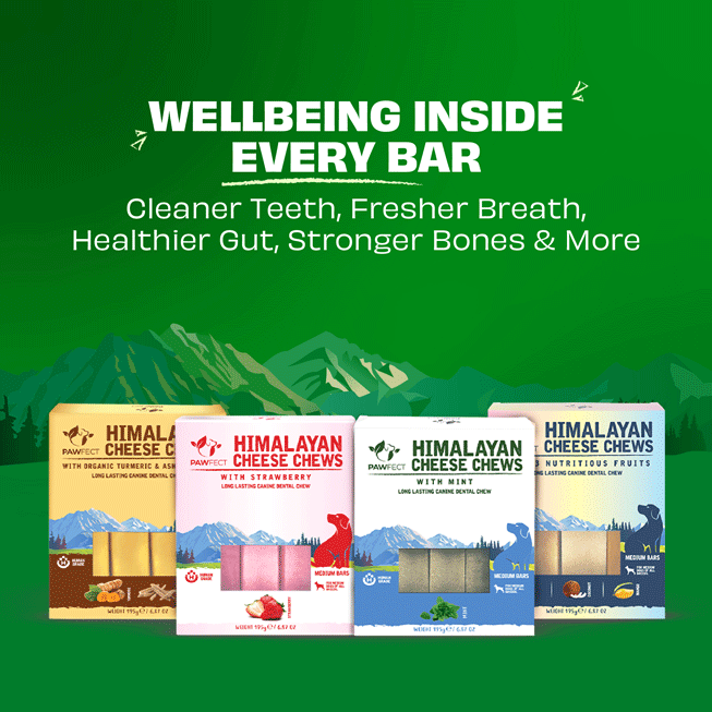 Pawfect Himalayan Yak Chews with 3 Nutritious Fruits – Large 3 x 140g