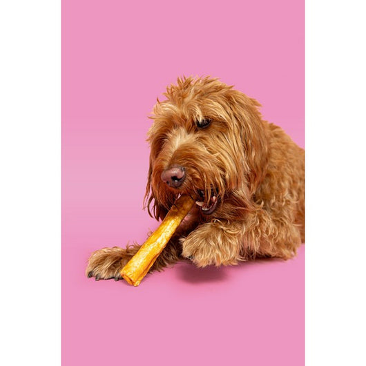 Pawtential Collagen Chews (Supports Joints, Coat & Skin)
