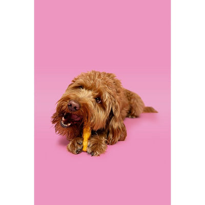 Pawtential Collagen Chews (Supports Joints, Coat & Skin)