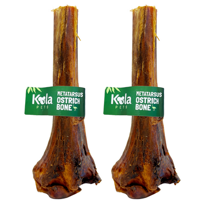 Metatarsus Ostrich Bones