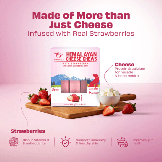 Pawfect Himalayan Yak Chews with Strawberry