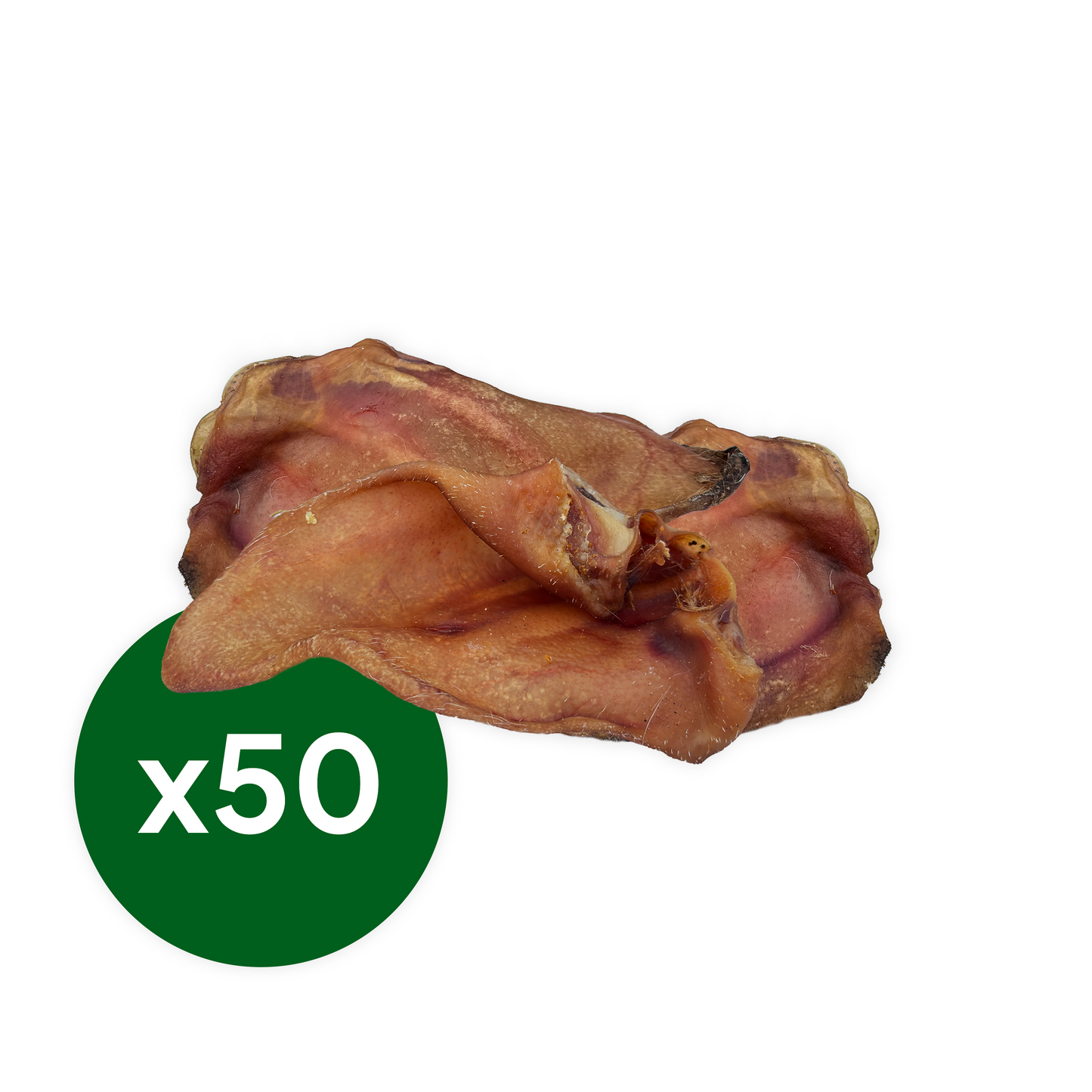 Large Pigs Ears
