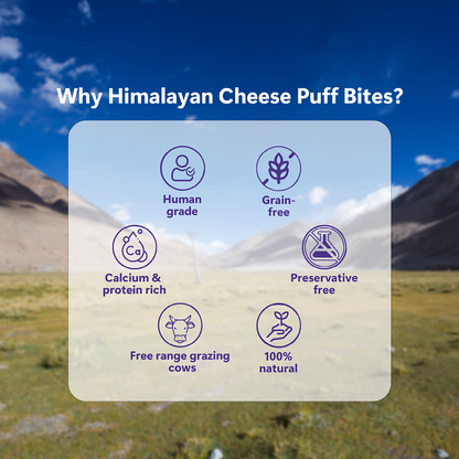 Pawfect Flavoured Yak Chews and Puffs