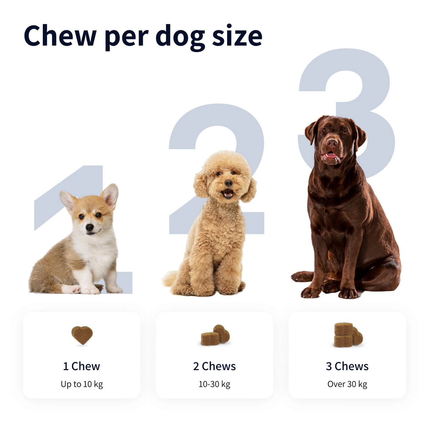 Tipaw Multivitamin Natural Supplements for Dogs