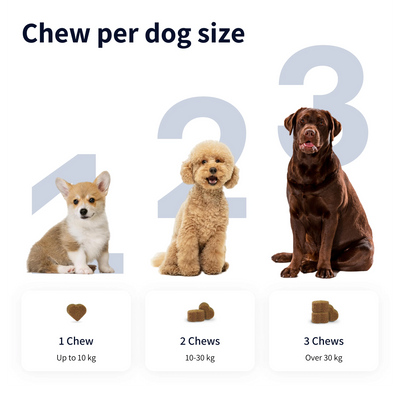 Tipaw Multivitamin Natural Supplements for Dogs