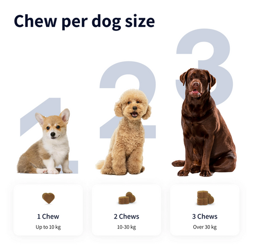 Tipaw Multivitamin Natural Supplements for Dogs