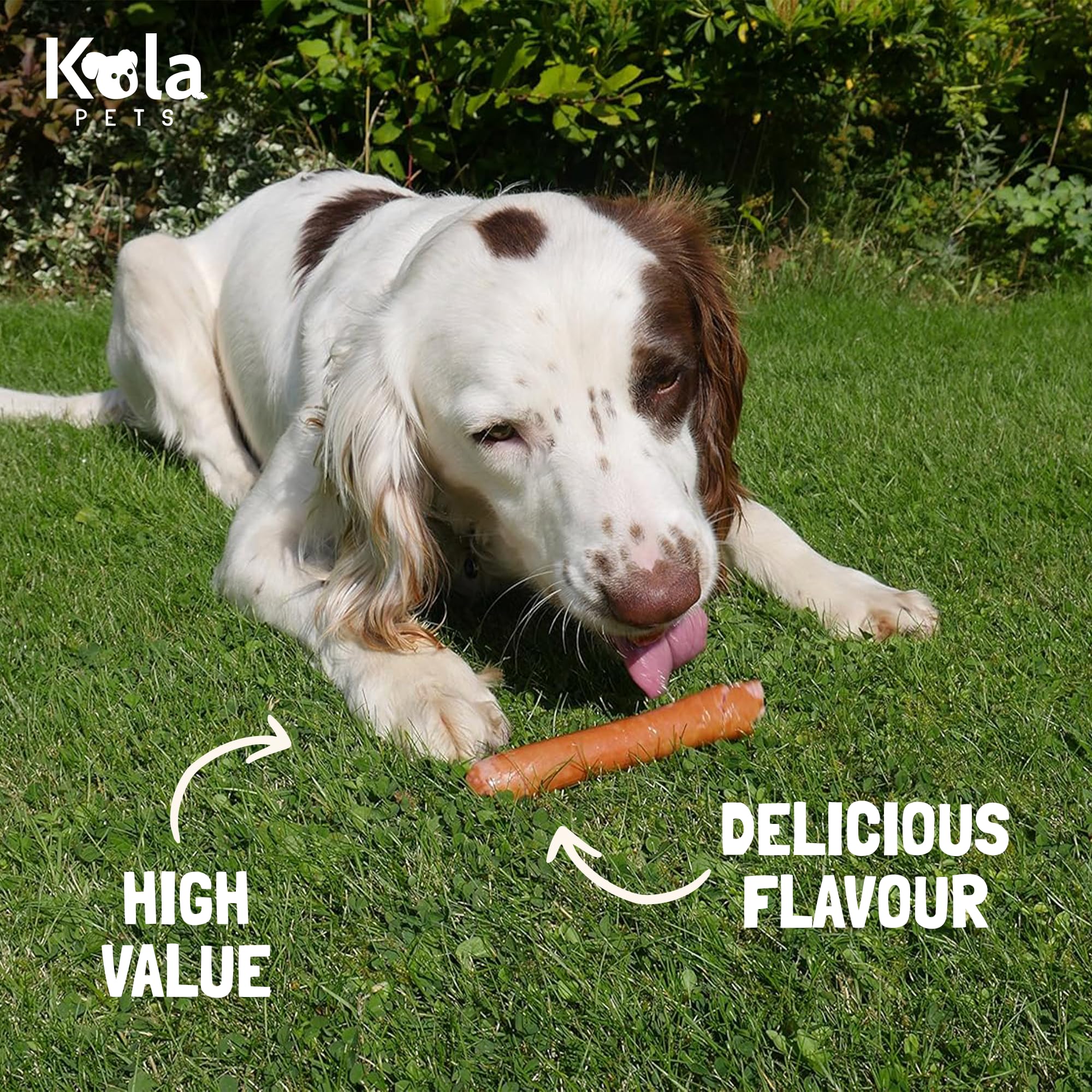 Rosewood Chicken & Pork Dog Sausages Bundle (4 x 4 Pack)