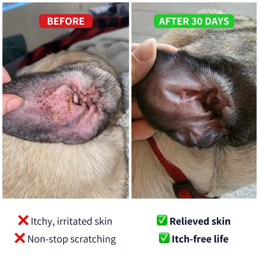 Tipaw Allergy & Itch Natural Supplement for Dogs