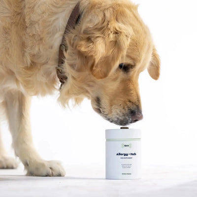 Tipaw Allergy & Itch Natural Supplement for Dogs