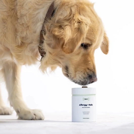Tipaw Allergy & Itch Natural Supplement for Dogs