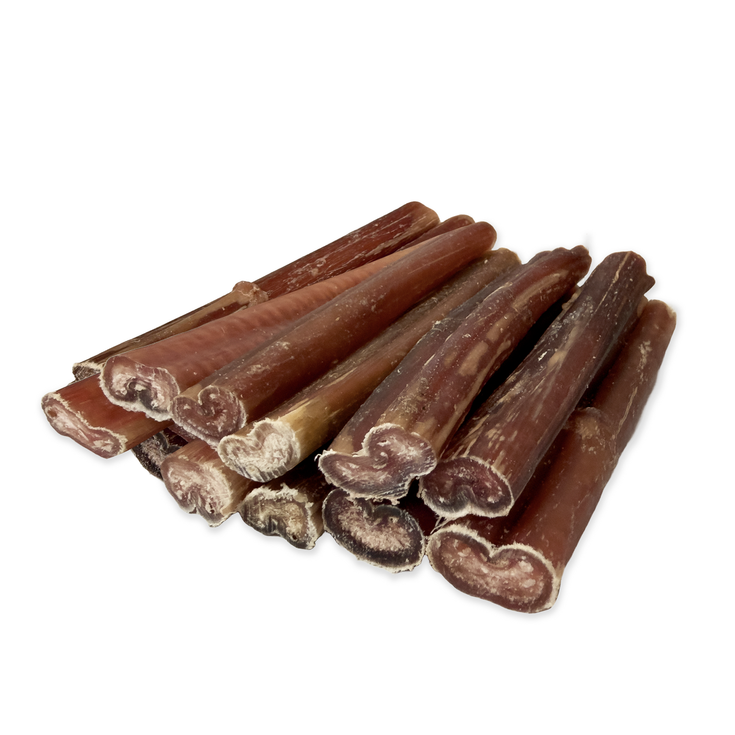 Pizzle Sticks for Dogs 10 Pack (12cm)