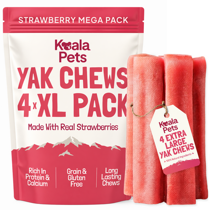 Yak Chews for Dogs (XL Pack of 4)