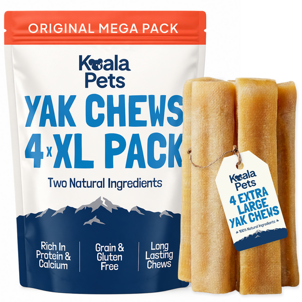Yak Chews for Dogs (XL Pack of 4)