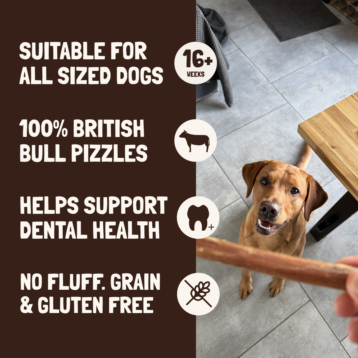 Pizzle Sticks for Dogs 10 Pack (12cm)