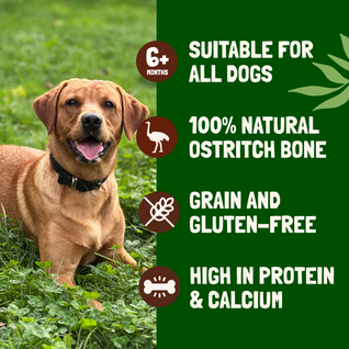 Jumbo Ostrich Bones for Dogs