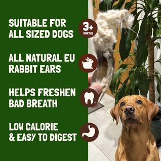 Koala Pets Rabbit Ears With Fur For Dogs 500g (30-35 Ears)