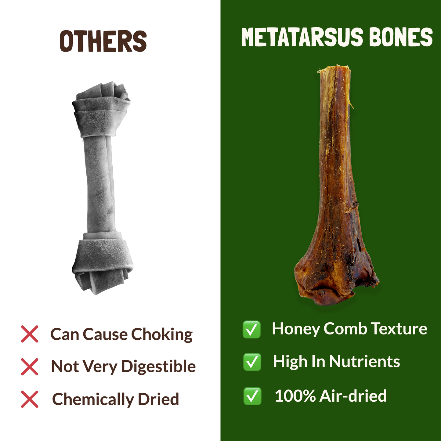 Metatarsus Ostrich Bones