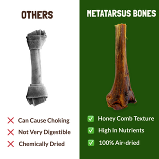 Metatarsus Ostrich Bones For Dogs