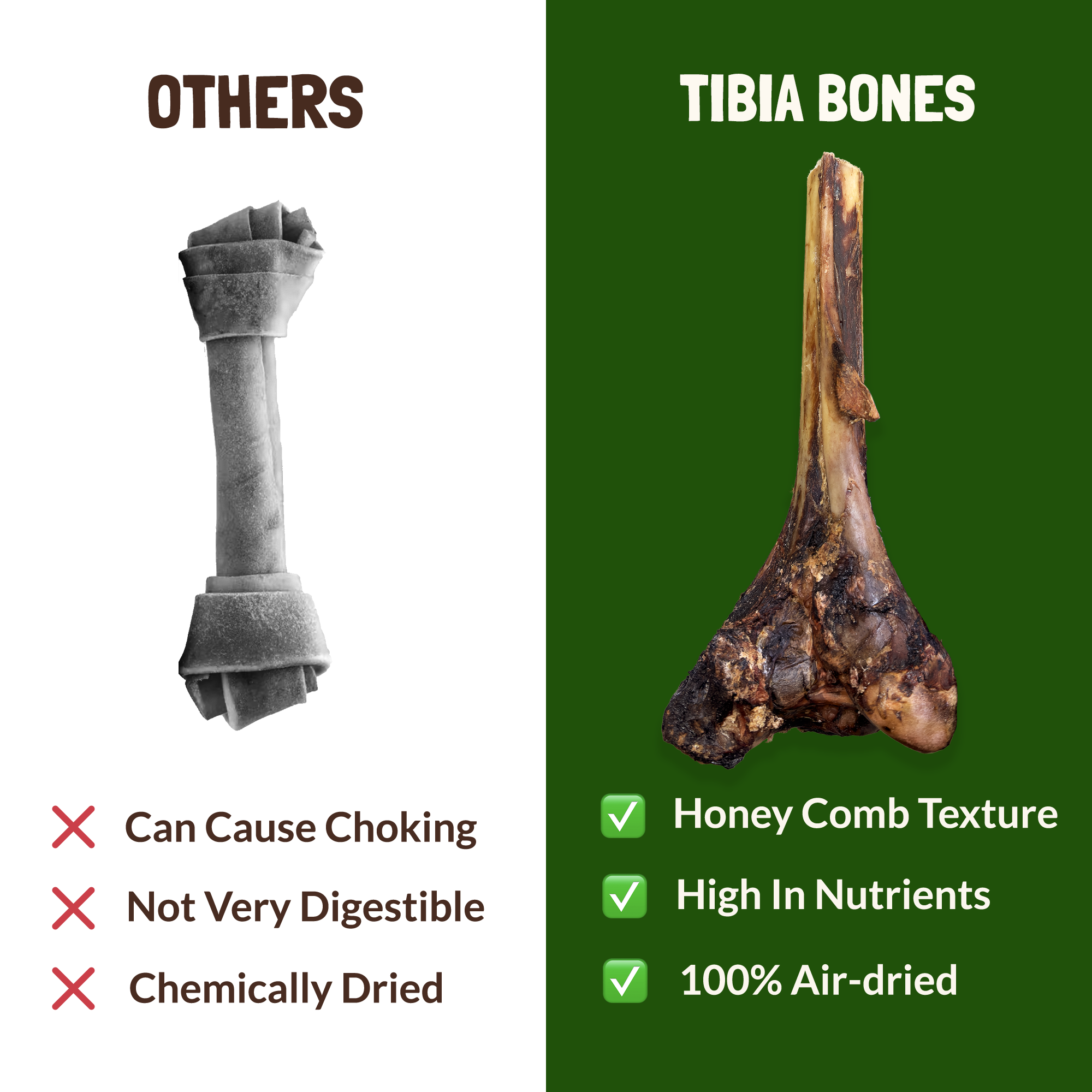 Tibia Large Ostrich Bone