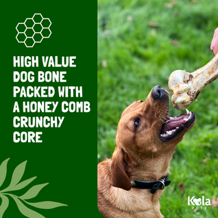 Jumbo Ostrich Bones for Dogs
