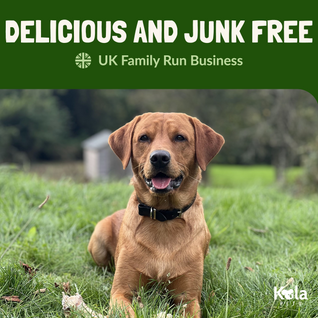 Koala Pets Rabbit Ears With Fur For Dogs 500g (30-35 Ears)