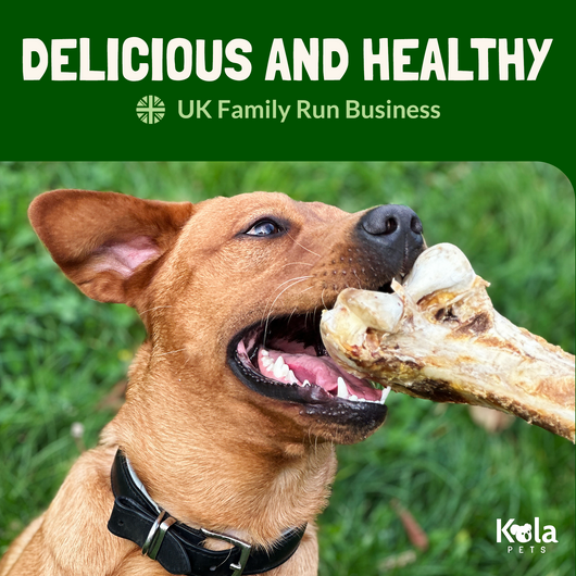 Jumbo Beef Bones (2 Pack )