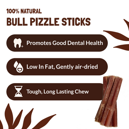 Pizzle Sticks for Dogs 10 Pack (12cm)