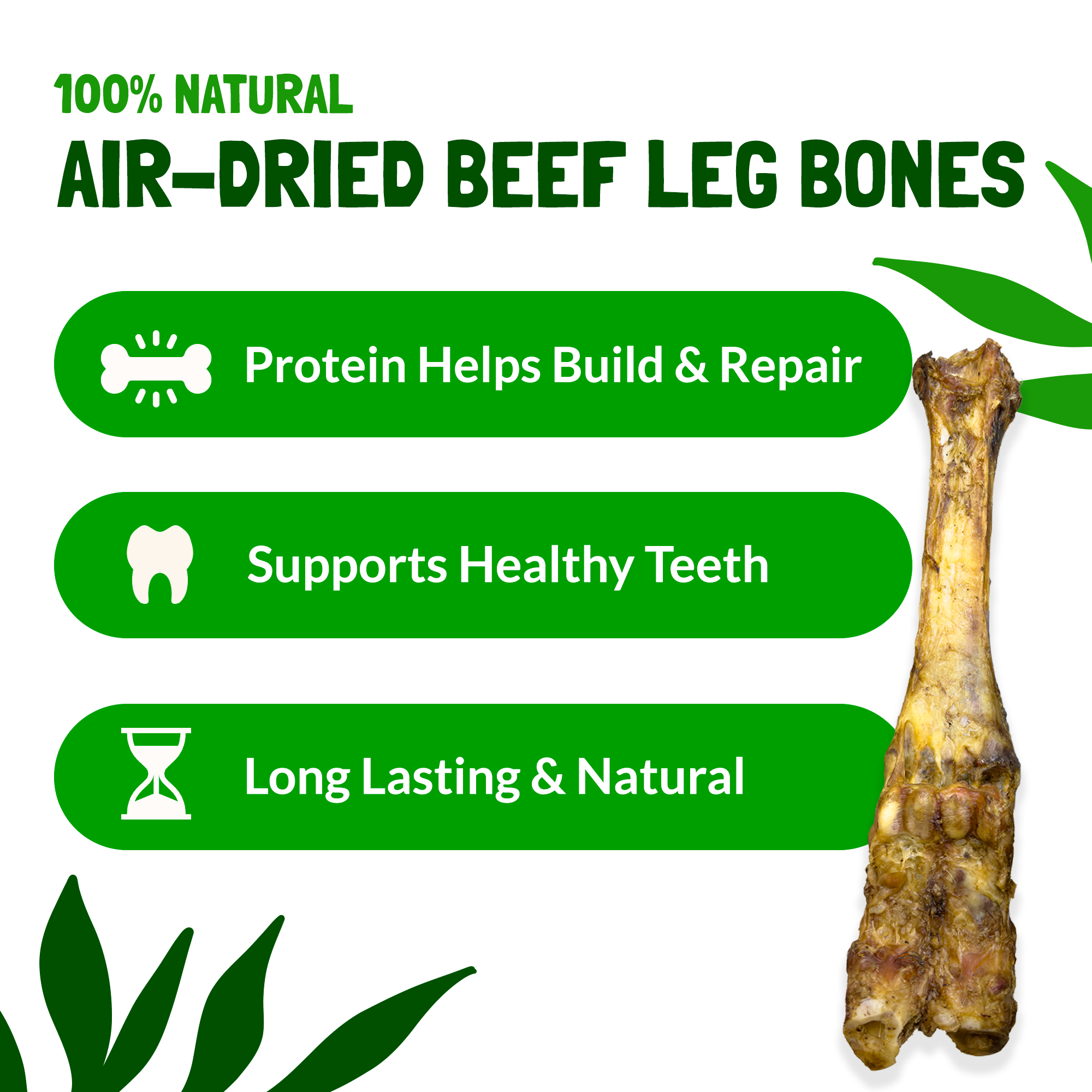Jumbo Beef Bones (2 Pack )
