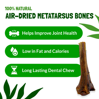 Metatarsus Ostrich Bones For Dogs
