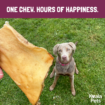 Venison Skin Chews for Dogs