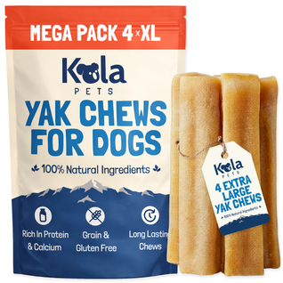 Yak Chews for Dogs (XL Pack of 4)
