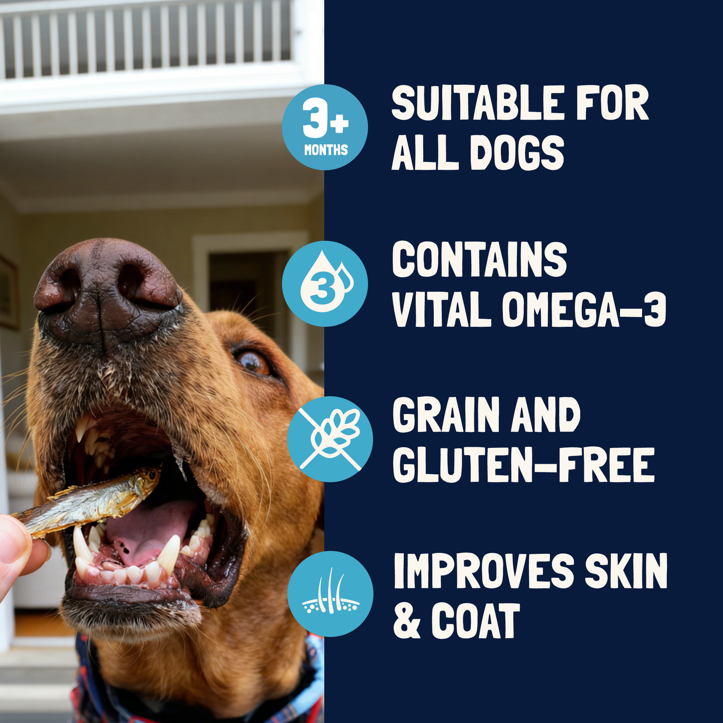Air Dried Sprats for Dogs