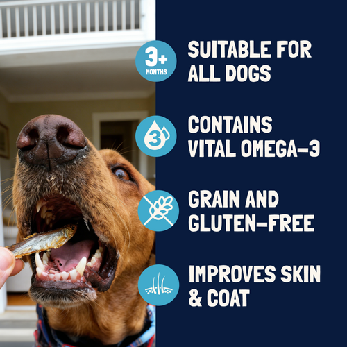 Air Dried Sprats for Dogs