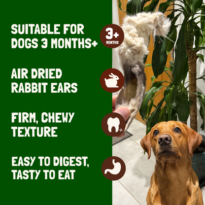 Rabbit Ears With Fur For Dogs 200g