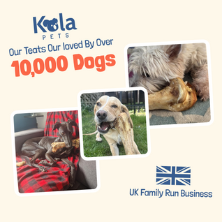 Yak Chews for Dogs (XL Pack of 4)