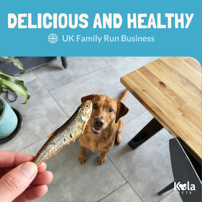 Air Dried Sprats for Dogs