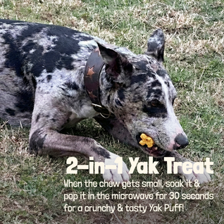 Yak Chews for Dogs (XL Pack of 4)