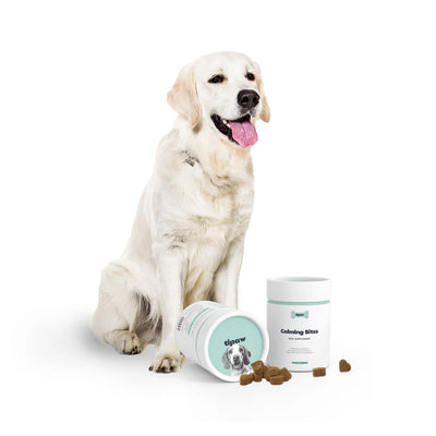 Tipaw Calming Bites Natural Supplement for Dogs