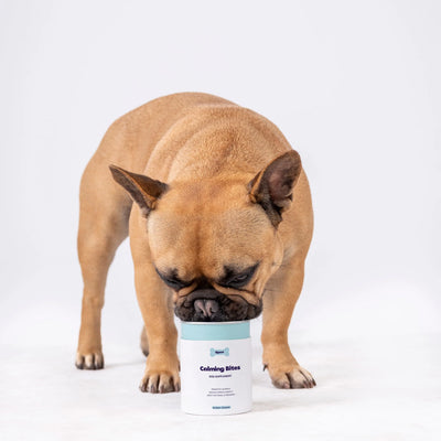 Tipaw Calming Bites Natural Supplement for Dogs