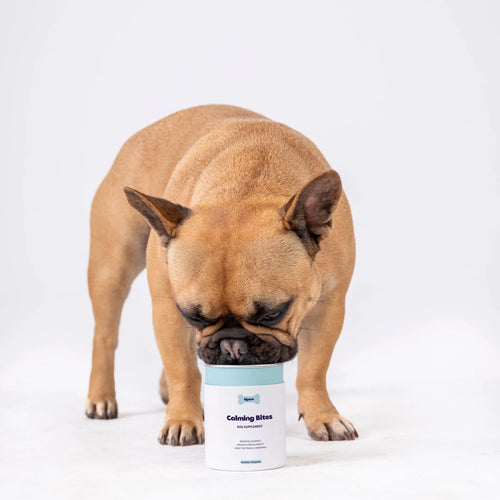 Tipaw Calming Bites Natural Supplement for Dogs